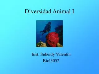 diversidad animal i