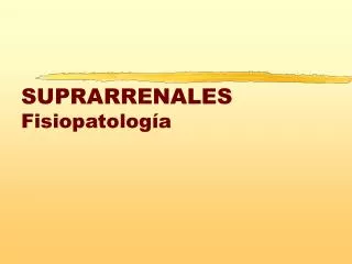 suprarrenales fisiopatolog a