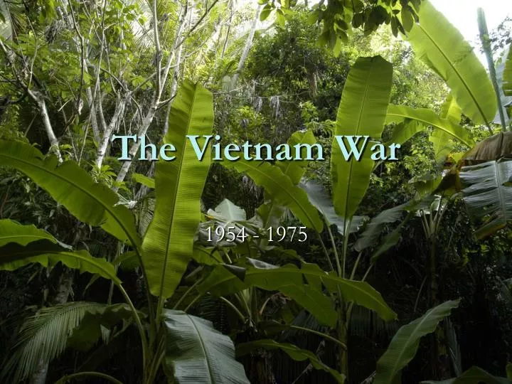 PPT - The Vietnam War PowerPoint Presentation, Free Download - ID:4311899