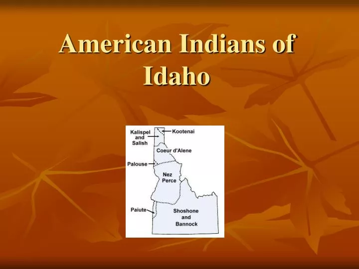 american indians of idaho