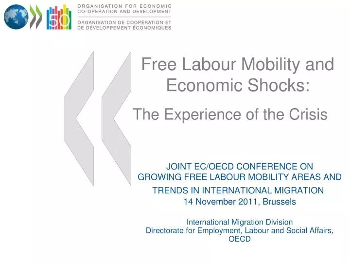 free labour mobility and economic shocks the experience of the crisis