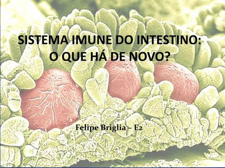 sistema imune do intestino o que h de novo