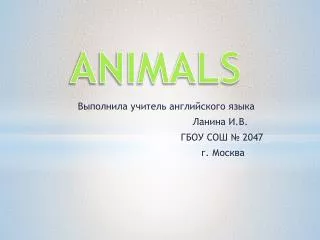 animals