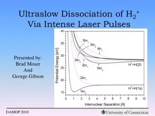 Ultraslow Dissociation of H 2 + Via Intense Laser Pulses