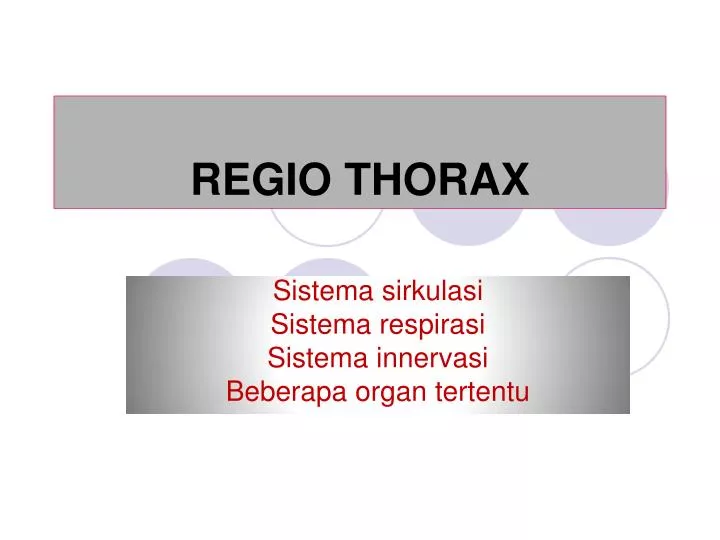 regio thorax