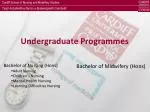 Undergraduate Programmes - slide 1