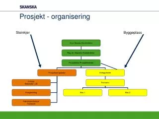 prosjekt organisering
