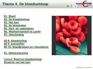 thema 4 de bloedsomloop