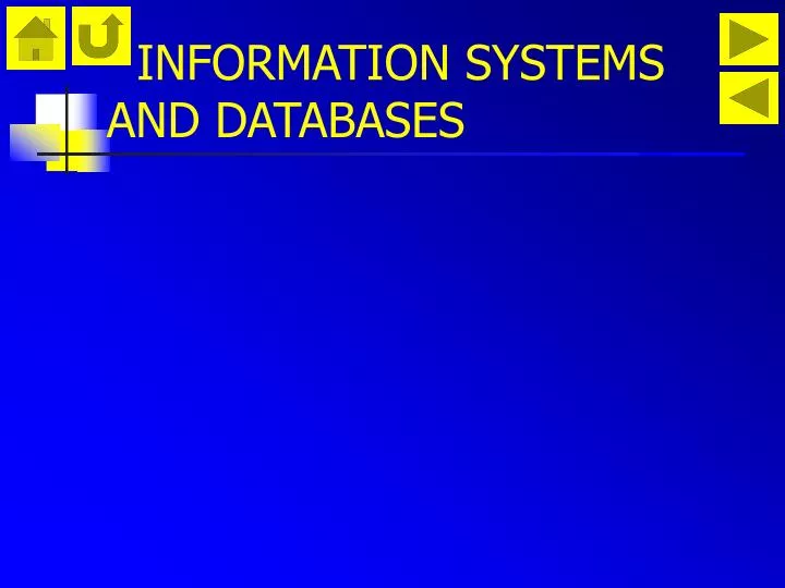 information systems and databases