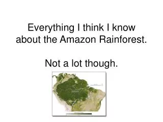 Everything I think I know about the Amazon Rainforest. Not a lot though.