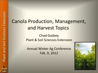 Canola Production, Management, and Harvest Topics