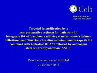 r union de lancement z beam 10 f vrier 2005