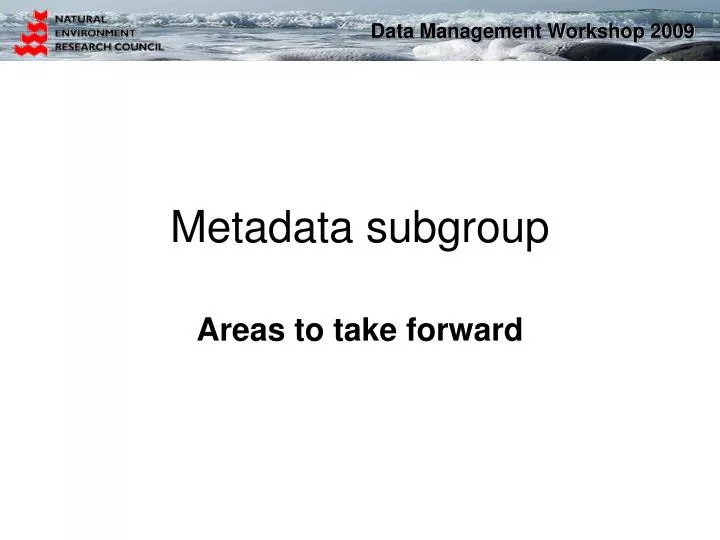 metadata subgroup