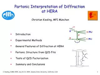 Partonic Interpretation of Diffraction at HERA