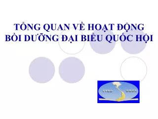 t ng quan v ho t ng b i d ng i bi u qu c h i