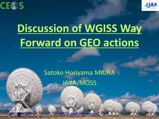 Discussion of WGISS Way Forward on GEO actions