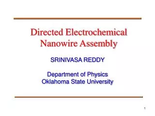 Directed Electrochemical Nanowire Assembly