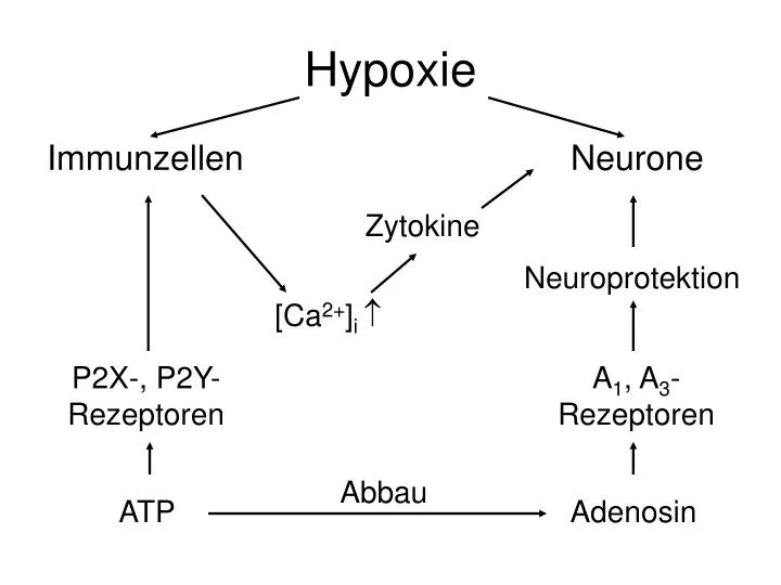 hypoxie