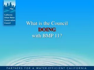 What is the Council DOING with BMP 11?