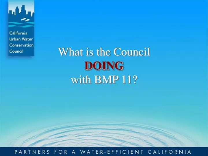 what is the council doing with bmp 11