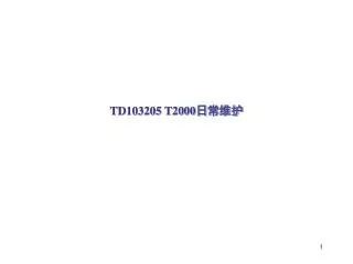 td103205 t2000
