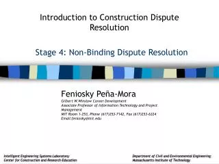 Stage 4: Non-Binding Dispute Resolution