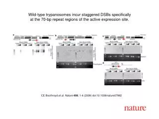 CE Boothroyd et al. Nature 458 , 1-4 (2009) doi:10.1038/nature07982