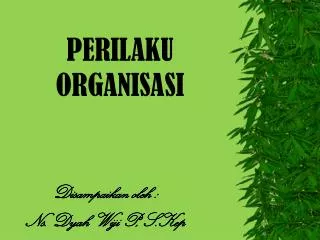 perilaku organisasi