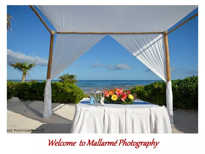 welcome to mallarm photography