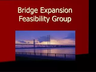 Bridge Expansion Feasibility Group