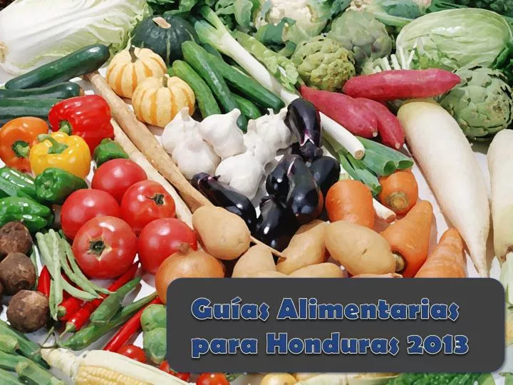 gu as alimentarias para honduras 2013