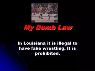 My Dumb Law