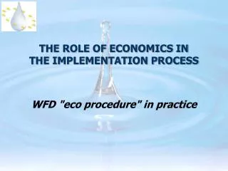 THE ROLE OF ECONOMICS IN THE IMPLEMENTATION PROCESS