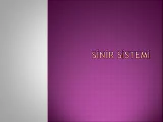 s n r s stem