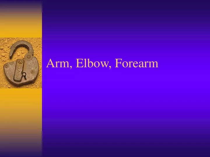 arm elbow forearm
