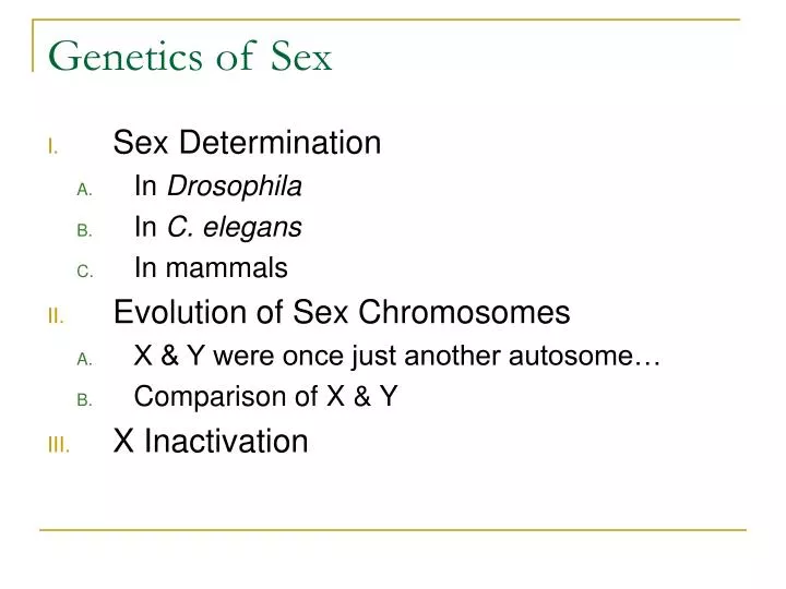 genetics of sex