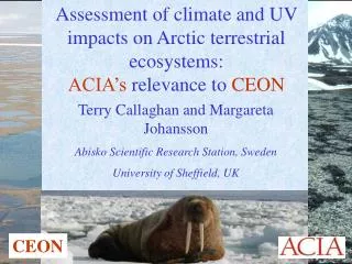 Assessment of climate and UV impacts on Arctic terrestrial ecosystems: