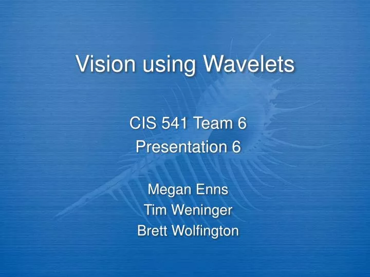 vision using wavelets