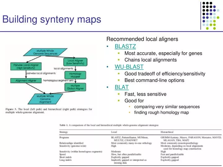 building synteny maps