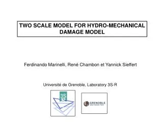 TWO SCALE MODEL FOR HYDRO-MECHANICAL DAMAGE MODEL
