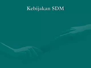 kebijakan sdm