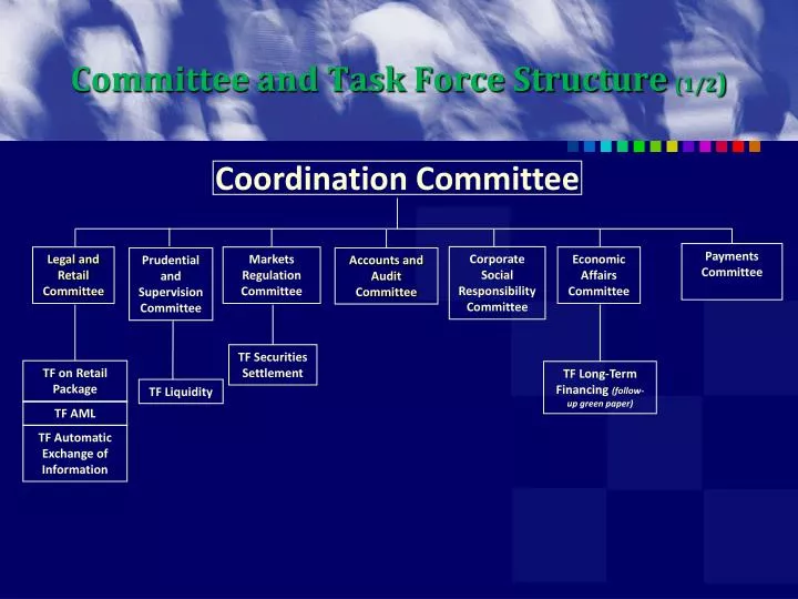 committee and task force structure 1 2