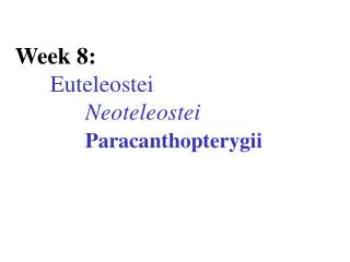 Week 8: Euteleostei Neoteleostei Paracanthopterygii