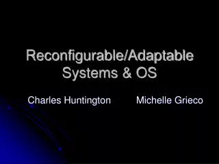 Reconfigurable/Adaptable Systems &amp; OS
