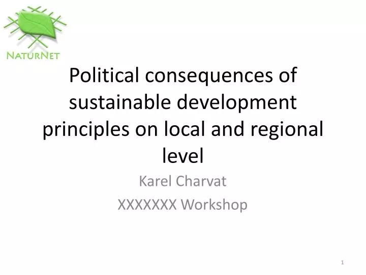 political consequences of sustainable development principles on local and regional level