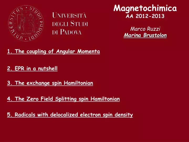 magnetochimica aa 2012 2013 marco ruzzi marina brustolon