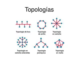 topolog as