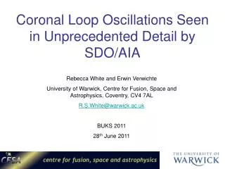 Coronal Loop Oscillations Seen in Unprecedented Detail by SDO/AIA