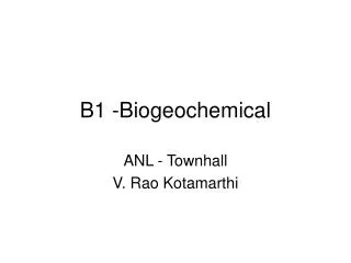 B1 -Biogeochemical