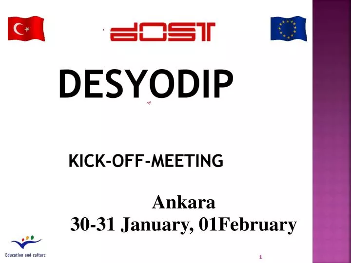 desyodip kick off meeting